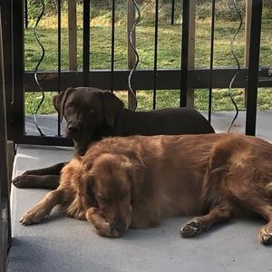 Meet your Posher, Simon